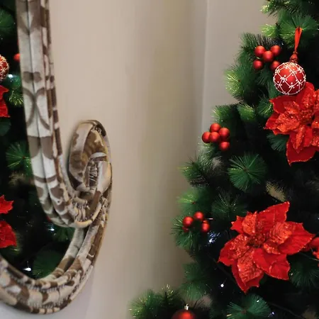 مونارك تيرانا