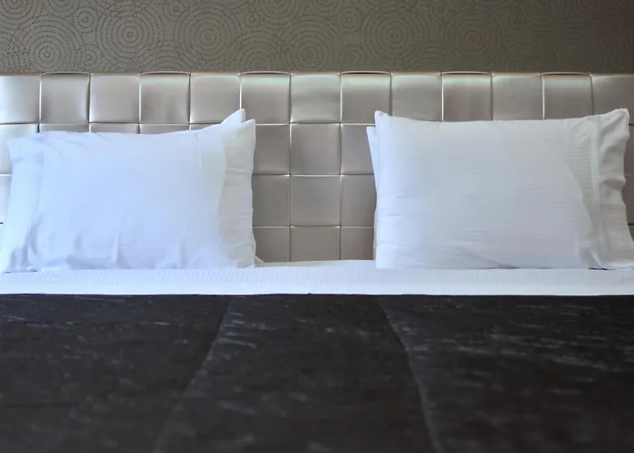 莫纳克酒店 地拉那