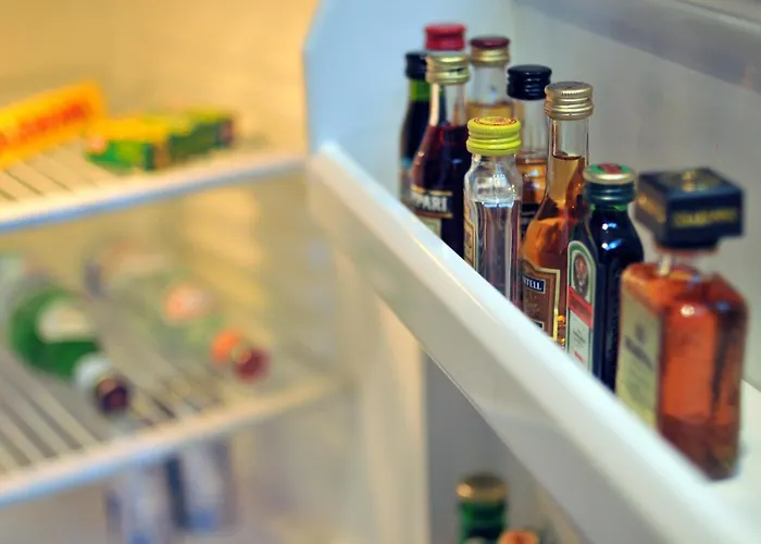 莫纳克酒店 酒店 4*