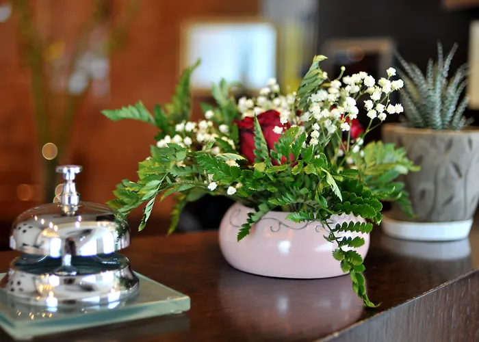 莫纳克酒店 酒店