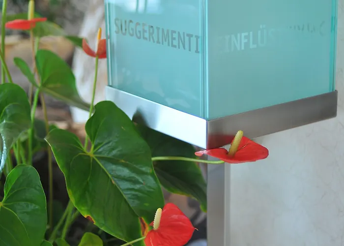 酒店 莫纳克酒店 4*