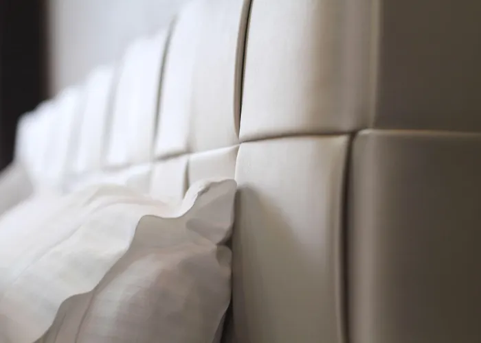 莫纳克酒店 酒店