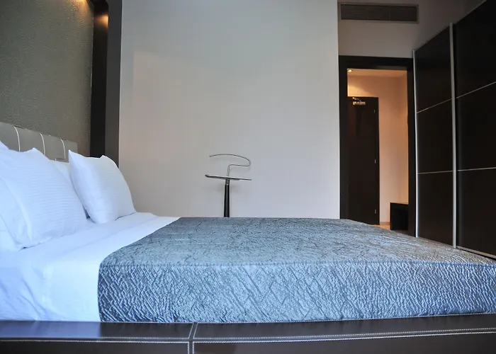 酒店 莫纳克酒店 4*