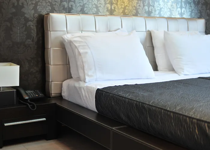 莫纳克酒店 地拉那