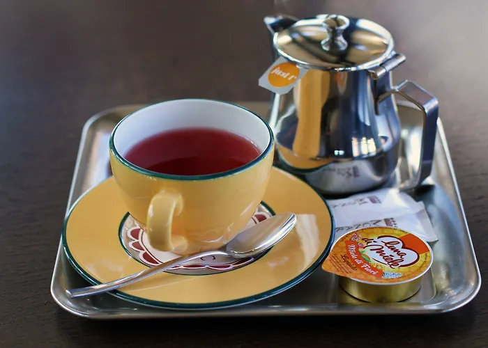 酒店 莫纳克酒店 地拉那