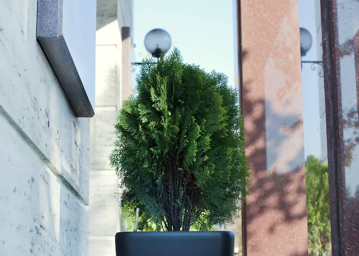 莫纳克酒店 酒店