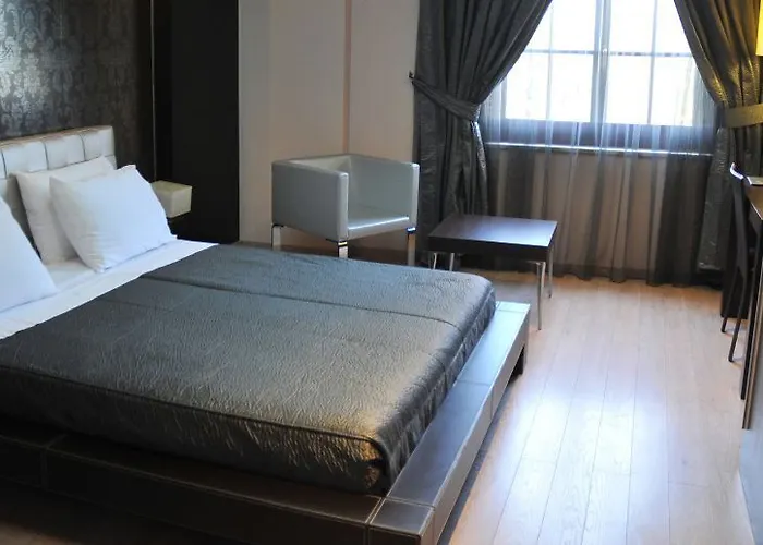 莫纳克酒店 地拉那