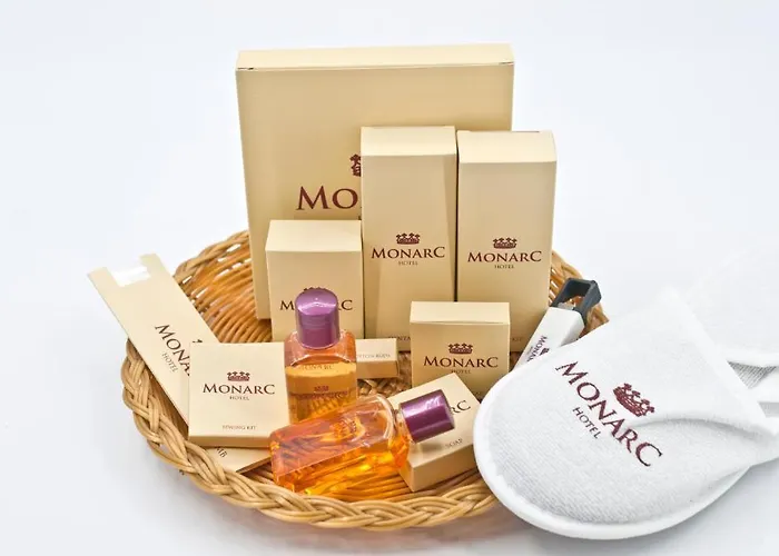 酒店 莫纳克酒店 4*